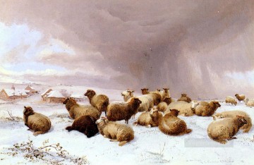 トーマス・シドニー・クーパー Painting - 冬の羊 農場の動物たち トーマス・シドニー・クーパー